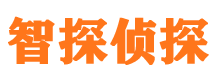 北京市私家侦探